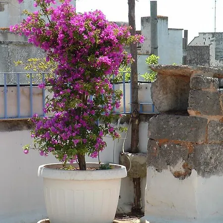 Palazzo Briganti Bed & Breakfast
